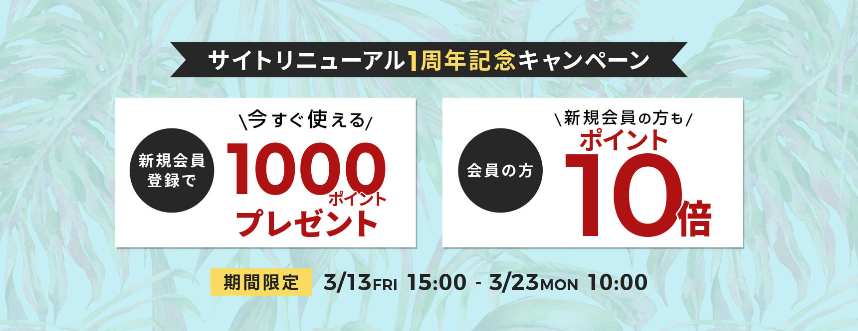 サイトリニューアル1周年記念キャンペーン