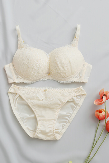 【WEB限定新色】【northerly bra フィットシリーズ 谷間メイク】カシュクールレースモールドブラジャー&ショーツセット