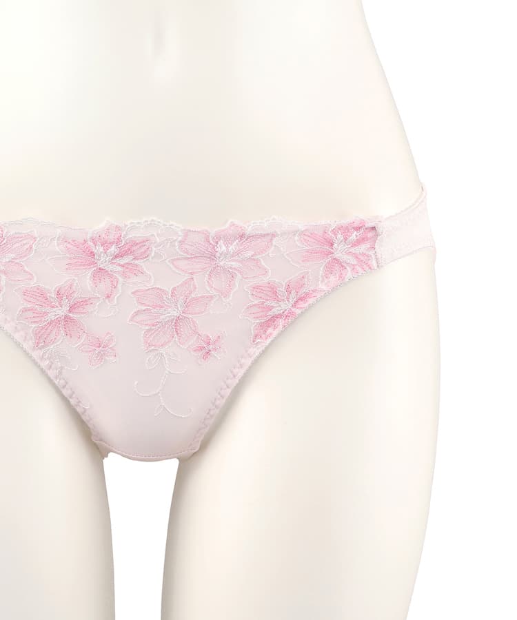 国内発送★VS★Sexy♡フローラル刺繍ブラジリアンショーツ SALE】【northerly】 【northerly bra 楽ちんフィットシリーズU
