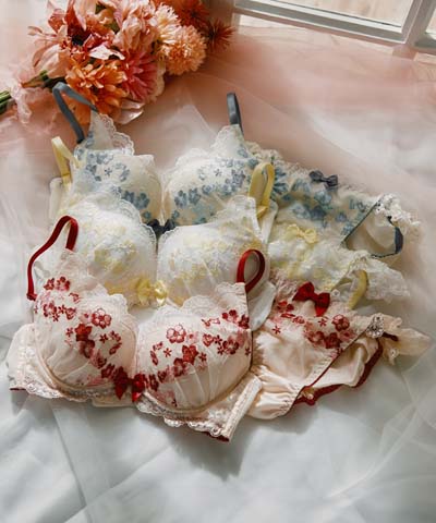 商品一覧】ブラジャー、ブラ＆ショーツセット｜ノーザリー｜下着