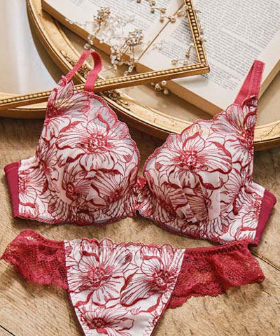 【SALE】エレガントコレクション【2409】単品ブラHIカップ  【northerly】