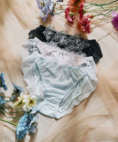 エレガントコレクション【2602】ノーマルショーツ  【northerly】