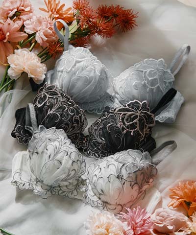 エレガントコレクション【2604】単品ブラBCDカップ 【northerly】