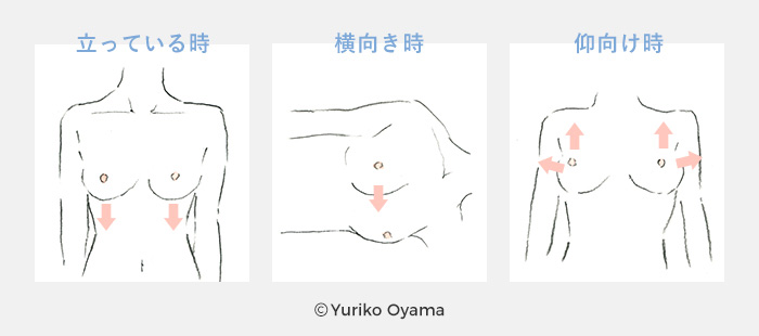 【カラダの状態と重力の関係性】イラスト|立っている時・横向き時・仰向け時©Yuriko Oyama