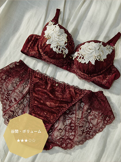 ホリデーリュクスブラジャー&ショーツセット