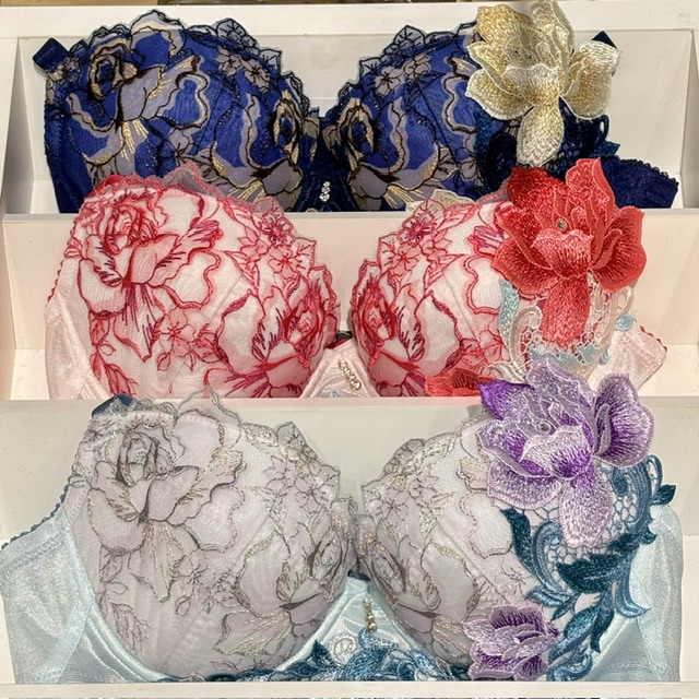 アミュプラザ熊本】サルート36G - 日本最大級の水着が揃うAi（アイ